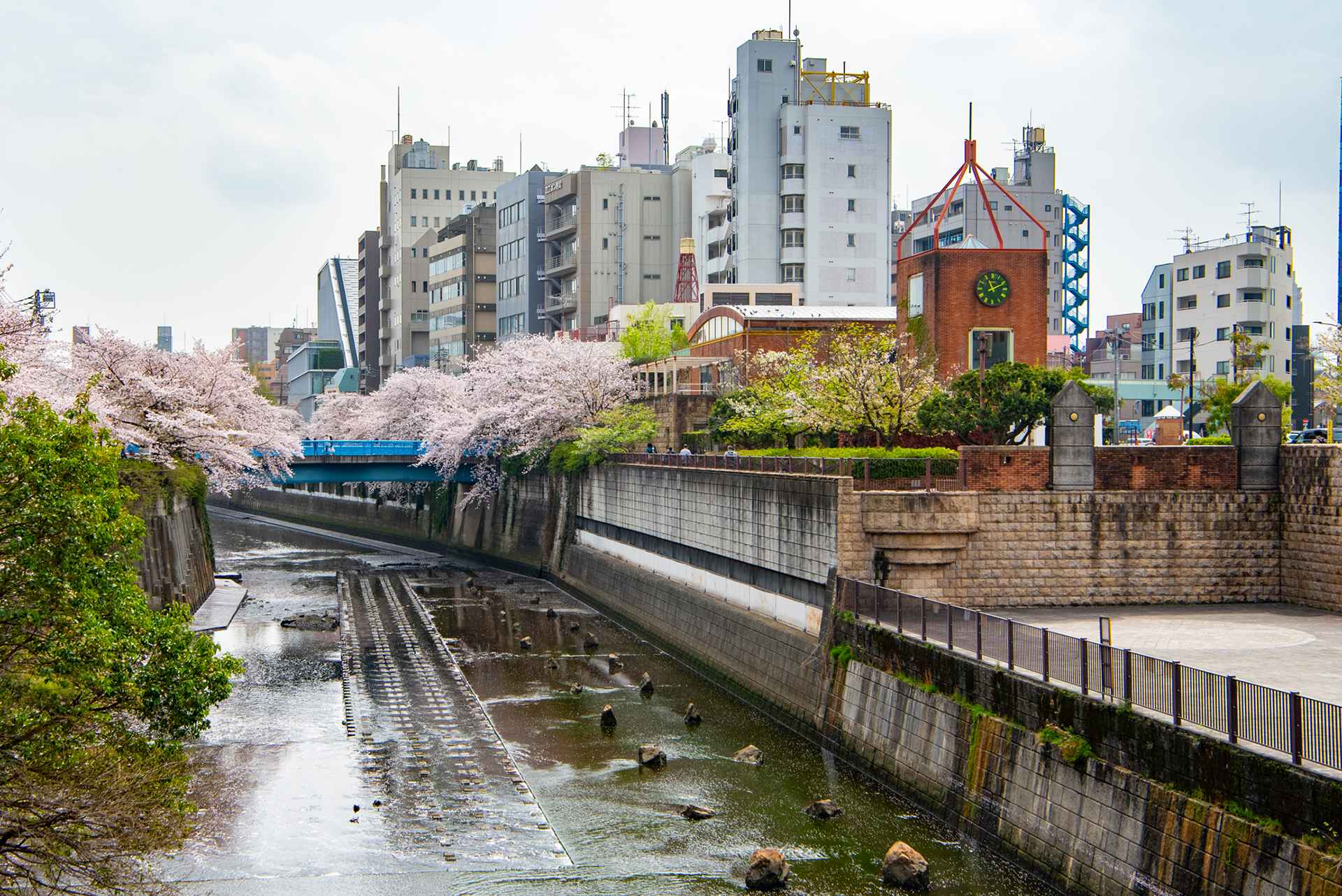 白丸ダム魚道