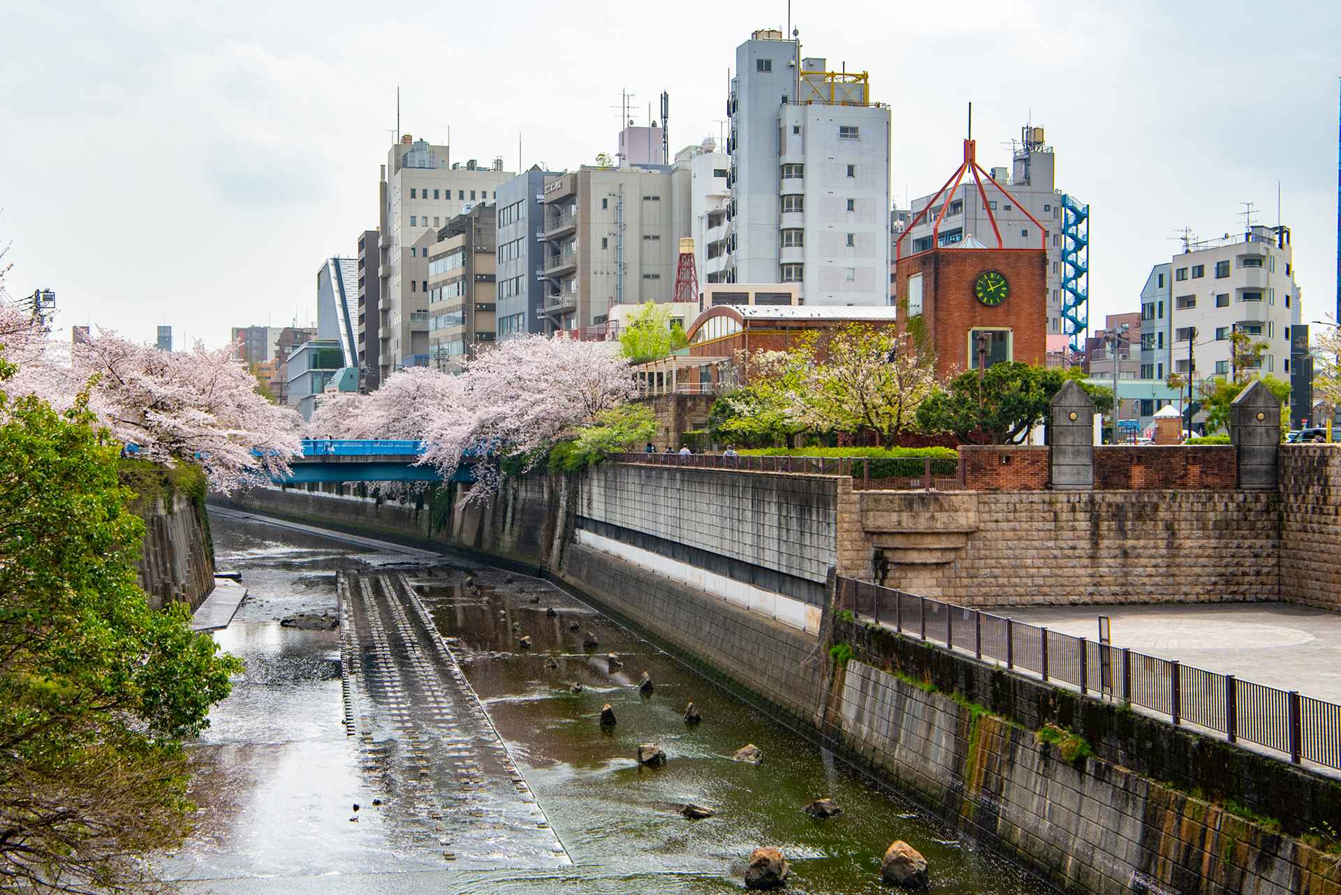 白丸ダム魚道