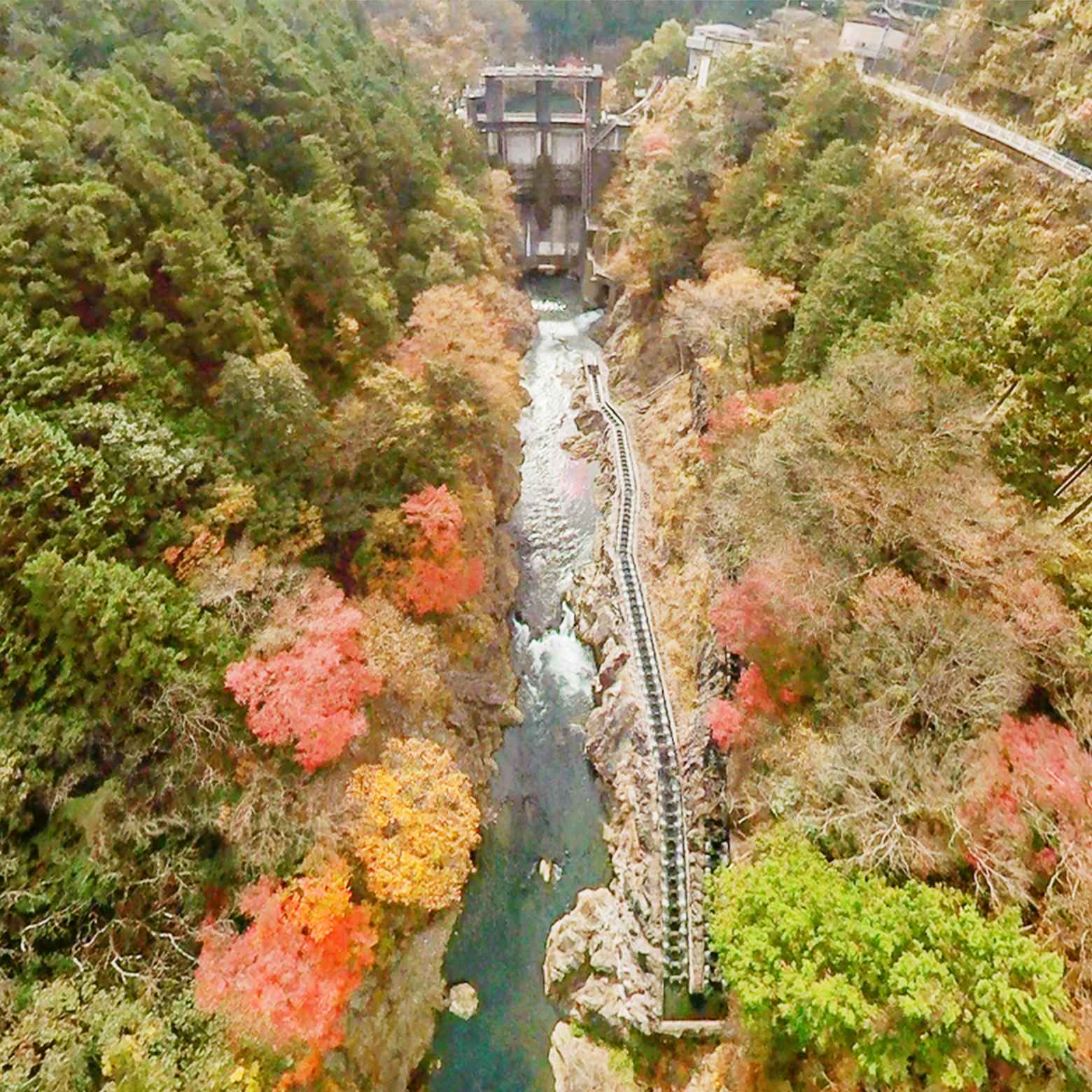 東京都河川施設2